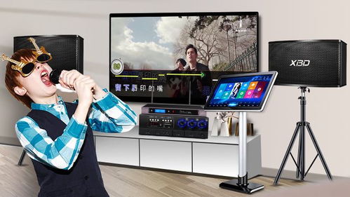 炫寶迪點(diǎn)歌機(jī)哪款型號(hào)更優(yōu)？音質(zhì)效果與評(píng)測全面解析